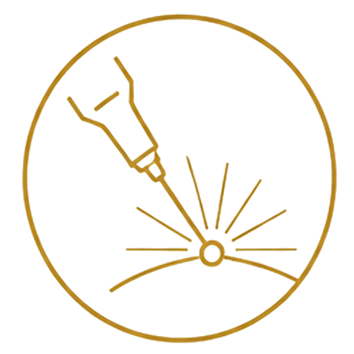 ikonica3